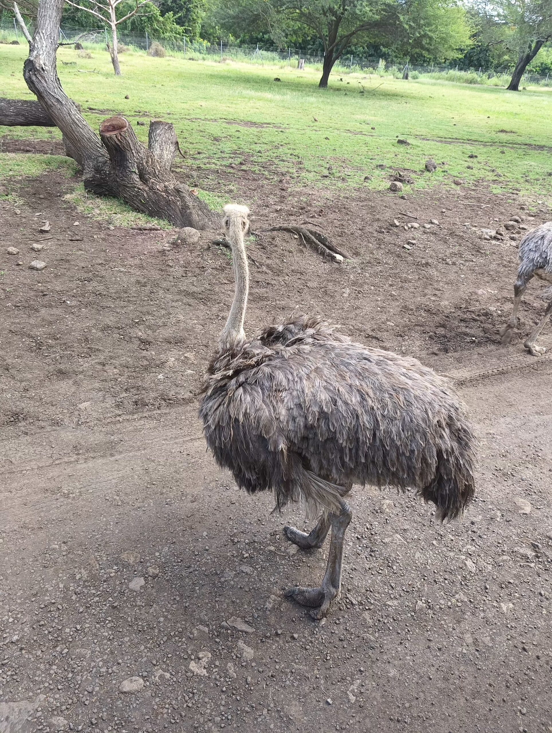 Beautiful scenery of Mauritius