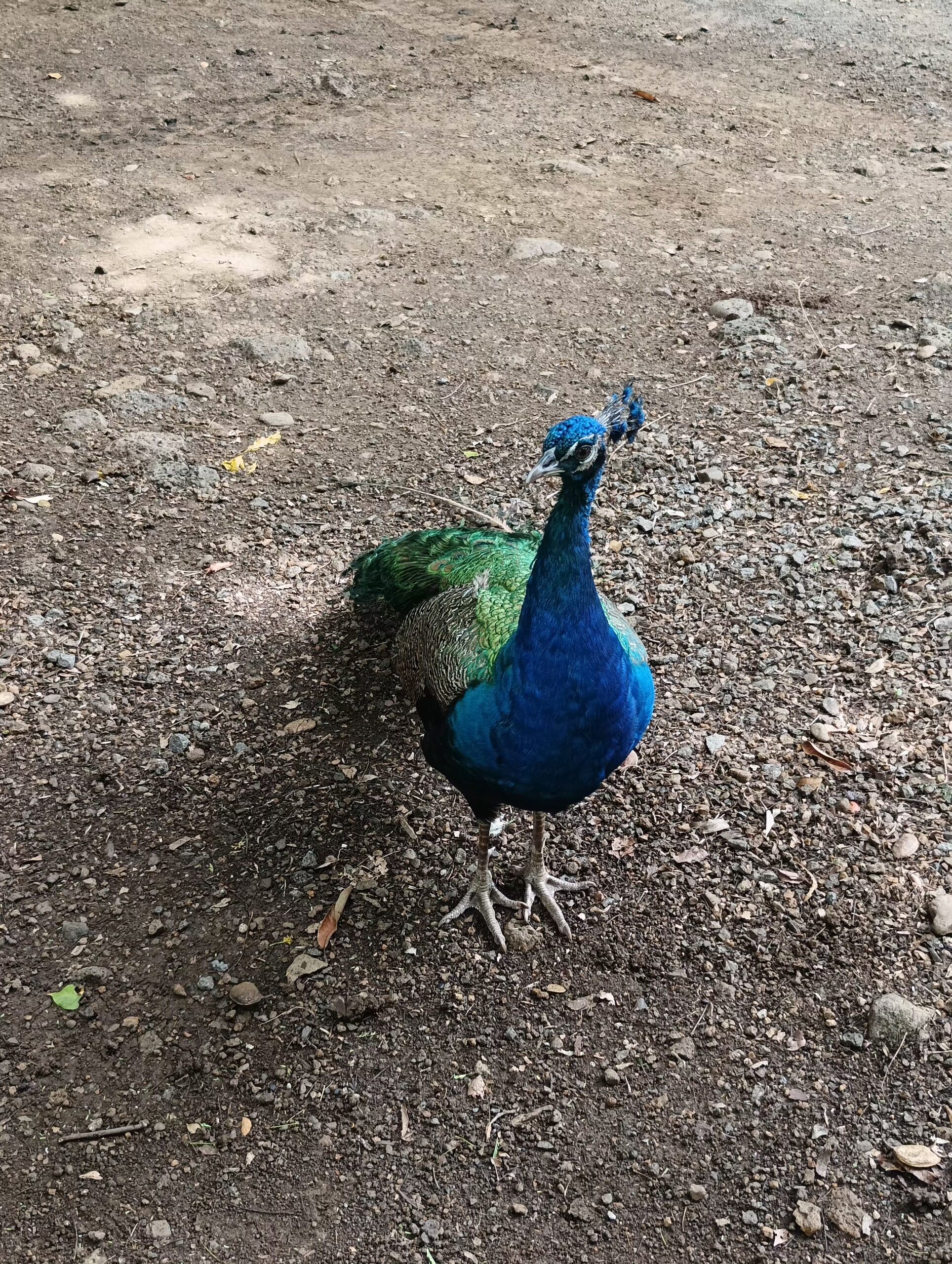 Beautiful scenery of Mauritius