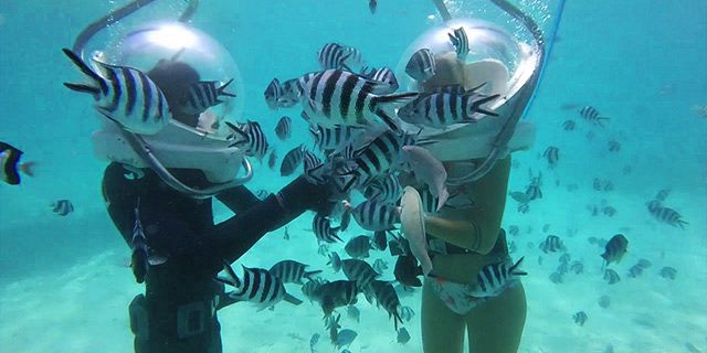 🤿 Basic Undersea Walk